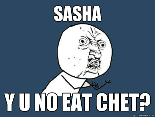 Sasha y u no eat chet? - Sasha y u no eat chet?  Y U No