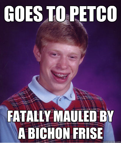 goes to petco fatally mauled by a bichon frise  Bad Luck Brian