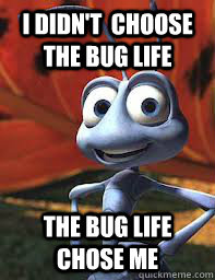I didn't  choose the bug life the bug life chose me  Bugs life meme