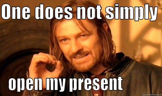 ONE DOES NOT SIMPLY  OPEN MY PRESENT           One Does Not Simply