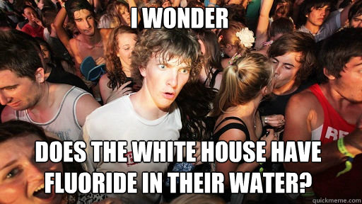 I wonder
 Does the White House have Fluoride in their water?  Sudden Clarity Clarence