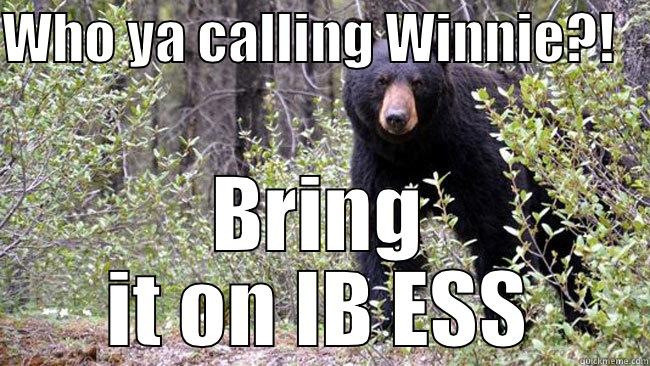 WHO YA CALLING WINNIE?!    BRING IT ON IB ESS Misc