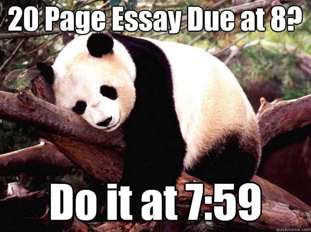 20 Page Essay Due at 8? Do it at 7:59  Procrastination Panda