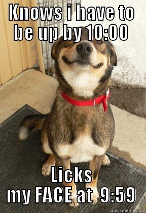 LOLOLOL DOGE - KNOWS I HAVE TO BE UP BY 10:00 LICKS MY FACE AT  9:59 Good Dog Greg