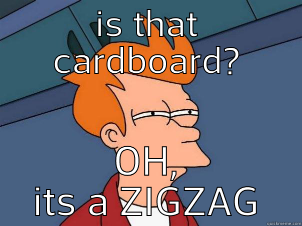 IS THAT CARDBOARD? OH, ITS A ZIGZAG Futurama Fry