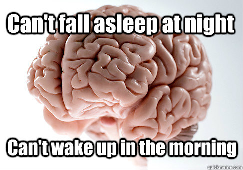 Can't fall asleep at night Can't wake up in the morning  Scumbag Brain