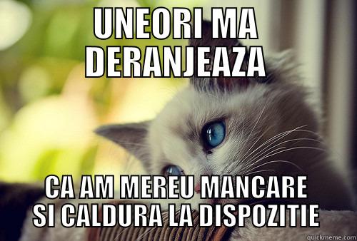 MITZICAT CU 1ST WORLD PROBLEMS - UNEORI MA DERANJEAZA CA AM MEREU MANCARE SI CALDURA LA DISPOZITIE First World Problems Cat