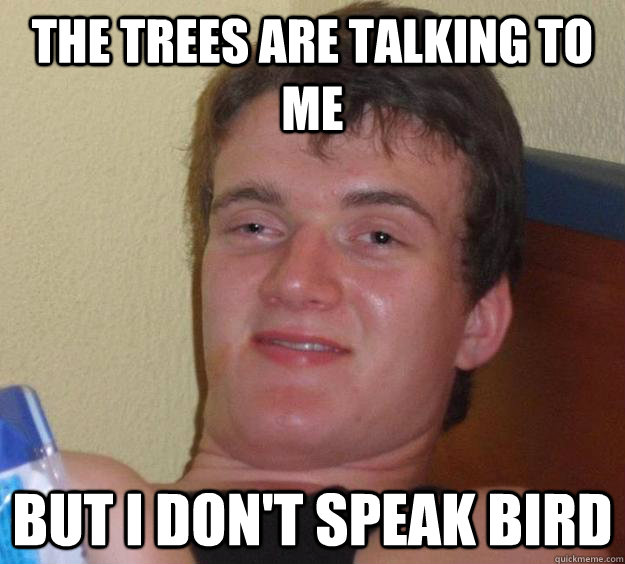 The trees are talking to me but i don't speak bird  10 Guy