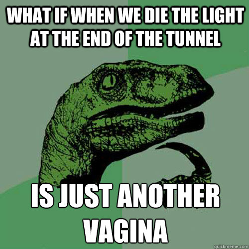 What if when we die the light at the end of the tunnel Is just another Vagina  Philosoraptor