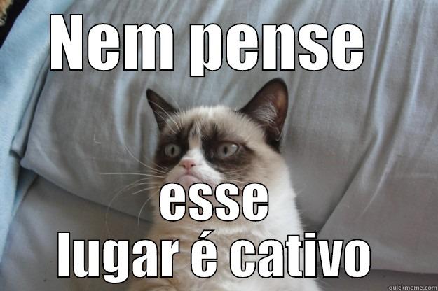 NEM PENSE  ESSE LUGAR É CATIVO Grumpy Cat