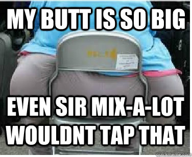 MY BUTT IS SO BIG EVEN SIR MIX-A-LOT WOULDNT TAP THAT  Ironic fatguy