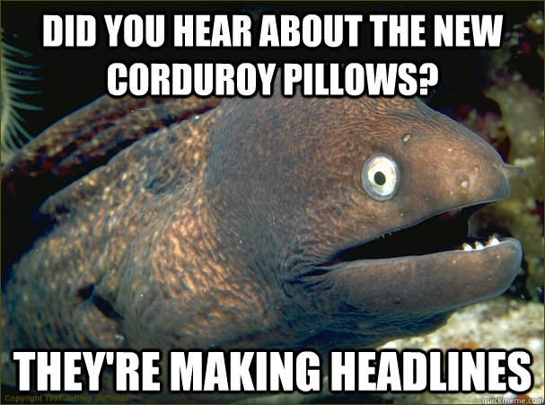 Did you hear about the new corduroy pillows?  They're making headlines  Bad Joke Eel