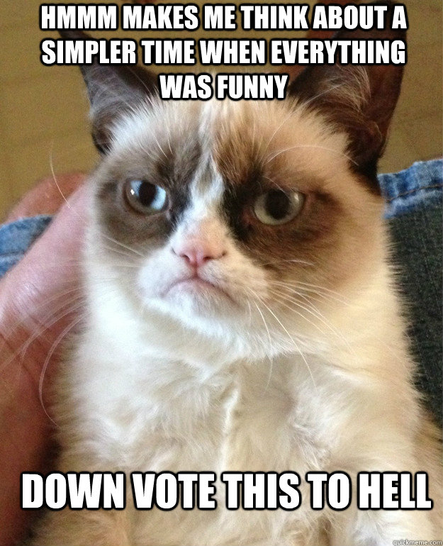 Hmmm makes me think about a simpler time when everything was funny Down vote this to hell  Grumpy Cat