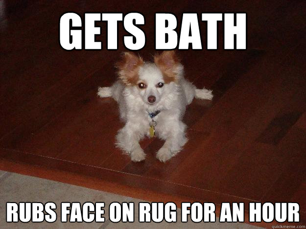 Gets bath rubs face on rug for an hour  