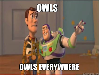 OWLS  owls everywhere  woody and buzz