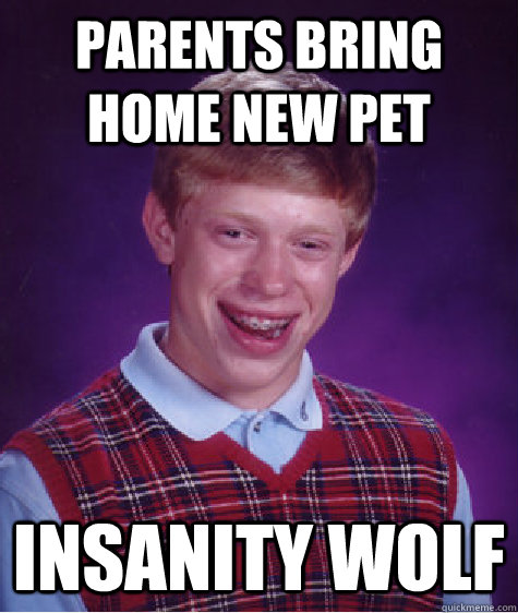 parents bring home new pet Insanity wolf - parents bring home new pet Insanity wolf  Bad Luck Brian