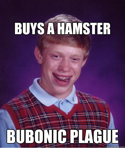 
buys a hamster bubonic plague  Bad Luck Brian