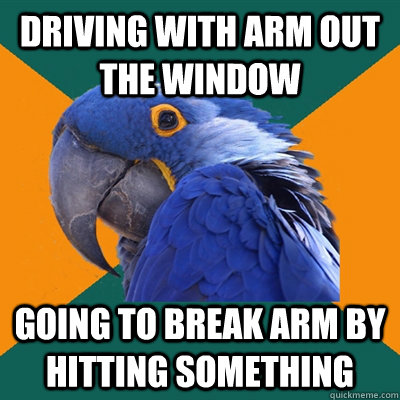 Driving with arm out the window going to break arm by hitting something - Driving with arm out the window going to break arm by hitting something  Paranoid Parrot