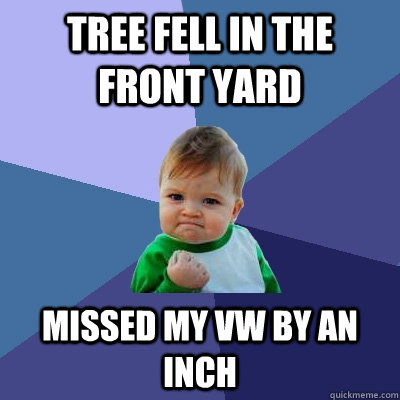 tree fell in the front yard missed my VW by an inch  Success Kid