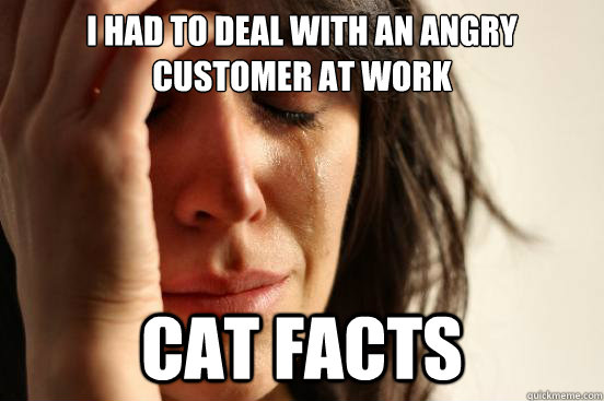 I had to deal with an angry customer at work cat facts - I had to deal with an angry customer at work cat facts  First World Problems