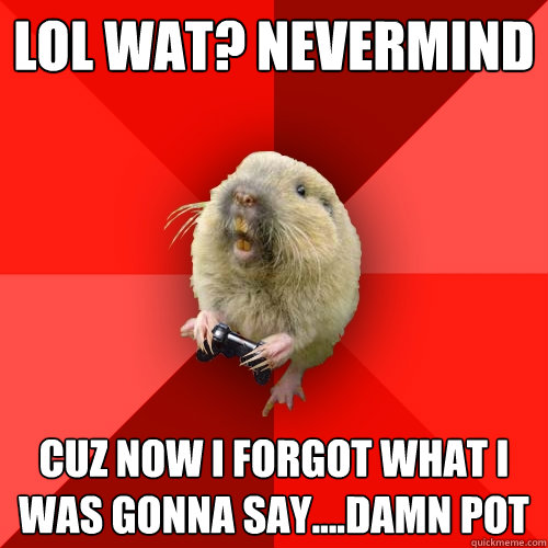 lol wat? nevermind cuz now i forgot what i was gonna say....damn pot  Gaming Gopher