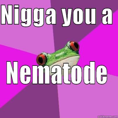 NIGGA YOU A  NEMATODE Foul Bachelorette Frog