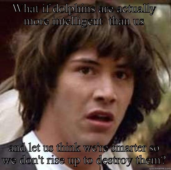 WHAT IF DOLPHINS ARE ACTUALLY MORE INTELLIGENT  THAN US AND LET US THINK WE'RE SMARTER SO WE DON'T RISE UP TO DESTROY THEM? conspiracy keanu