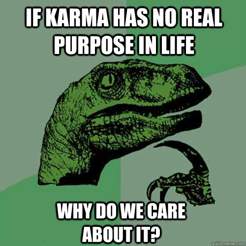 if karma has no real purpose in life Why do we care about it?  Philosoraptor