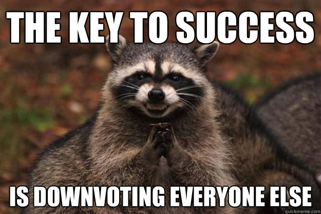 the key to success is downvoting everyone else - the key to success is downvoting everyone else  Evil Plotting Raccoon