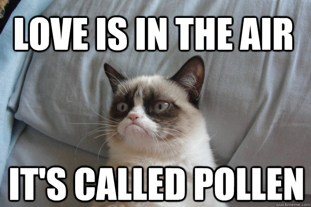 Love is in the air It's called pollen - Love is in the air It's called pollen  Misc