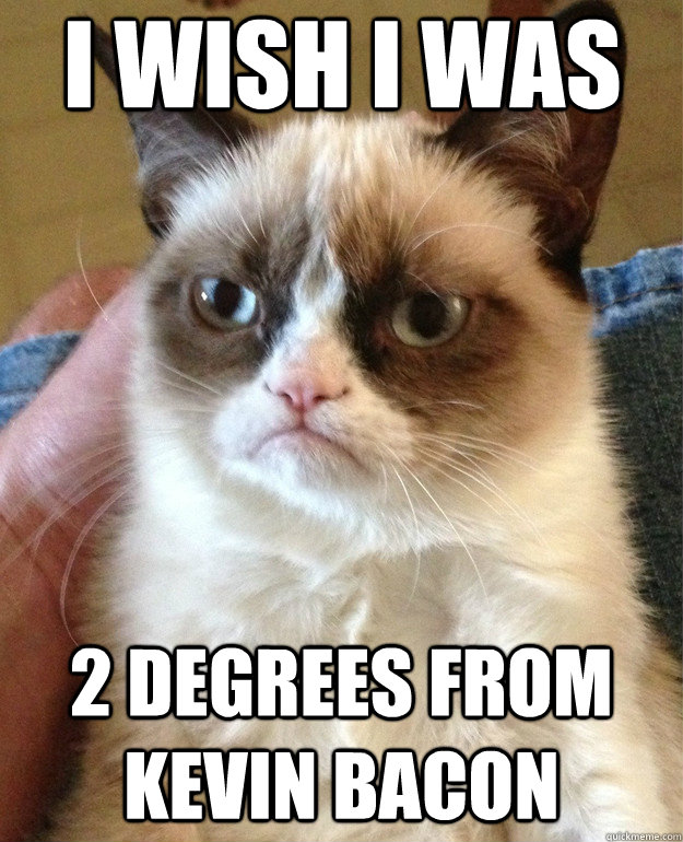 I wish I was 2 degrees from Kevin Bacon  Grumpy Cat