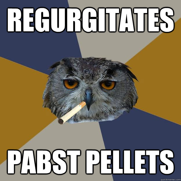 regurgitates Pabst pellets - regurgitates Pabst pellets  Art Student Owl