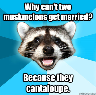 Why can't two muskmelons get married? Because they cantaloupe.  - Why can't two muskmelons get married? Because they cantaloupe.   Lame Pun Coon