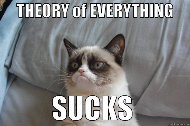      THEORY OF EVERYTHING      SUCKS Grumpy Cat