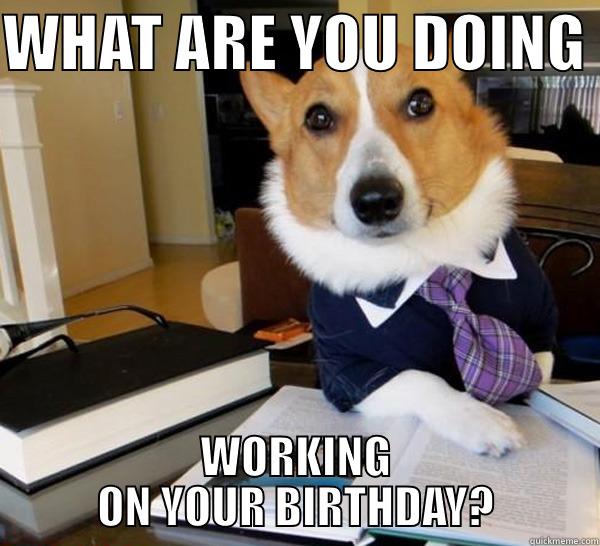 WHAT ARE YOU DOING  WORKING ON YOUR BIRTHDAY? Lawyer Dog