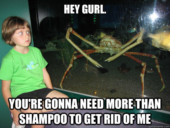 Hey gurl. You're gonna need more than shampoo to get rid of me  wildly inappropriate crab