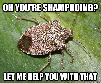 Oh you're shampooing? let me help you with that  