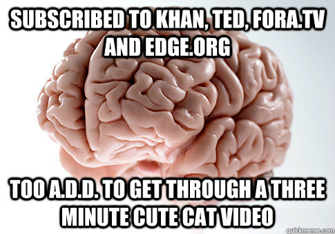 Subscribed to khan, ted, fora.tv and edge.org too a.d.d. to get through a three minute cute cat video  Scumbag Brain