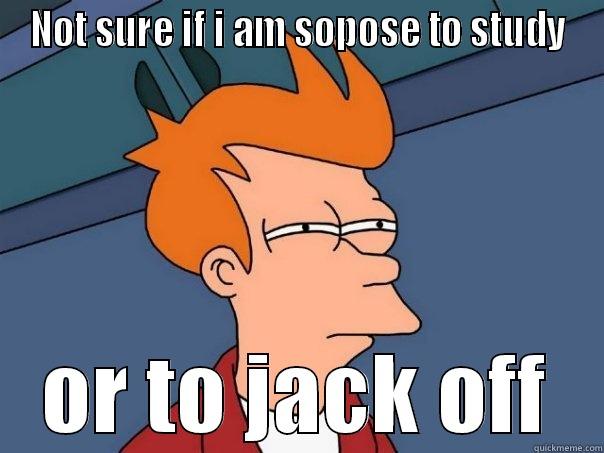 NOT SURE IF I AM SOPOSE TO STUDY OR TO JACK OFF Futurama Fry