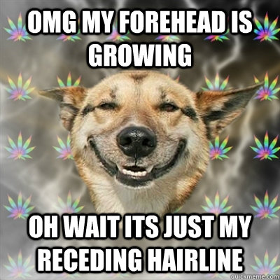 OMG MY FOREHEAD IS growing oh wait its just my receding hairline  Stoner Dog