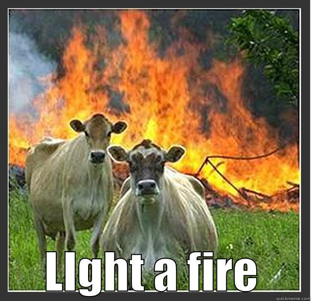  LIGHT A FIRE Evil cows