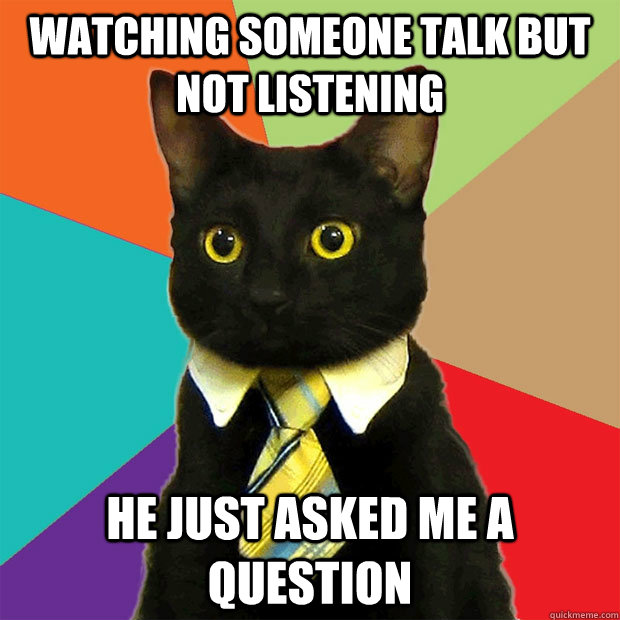 watching someone talk but not listening he just asked me a question  Business Cat