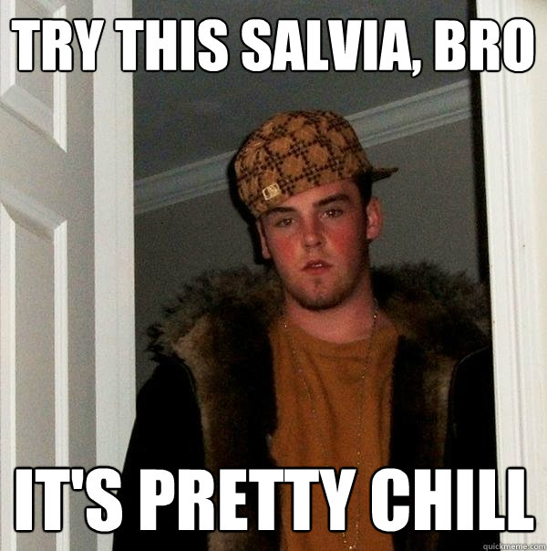 Try this salvia, bro It's pretty chill - Try this salvia, bro It's pretty chill  Scumbag Steve