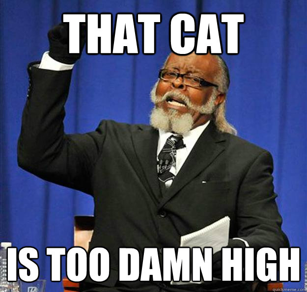 That cat Is too damn high  Jimmy McMillan