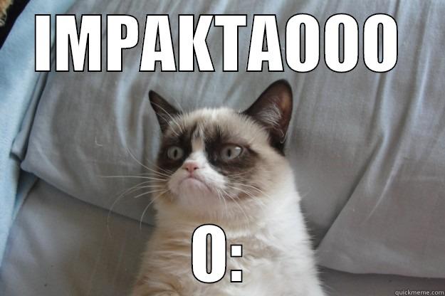 el gato IMPAKTAOOO - IMPAKTAOOO O: Grumpy Cat