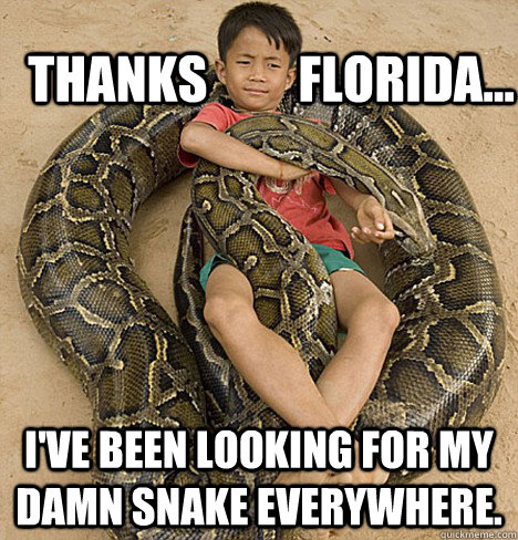 Thanks         Florida... I've been looking for my damn snake EVERyWHERE. - Thanks         Florida... I've been looking for my damn snake EVERyWHERE.  Misc