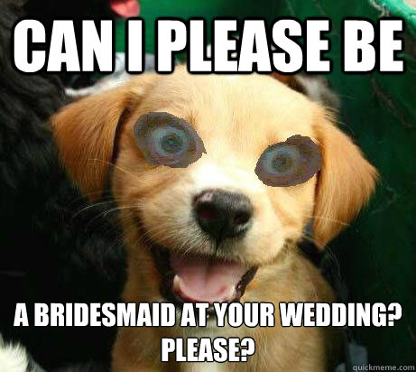 Can I please be a bridesmaid at your wedding?
Please? - Can I please be a bridesmaid at your wedding?
Please?  Pervy Meme