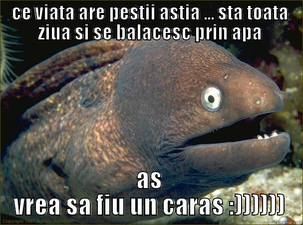 viata de peste - CE VIATA ARE PESTII ASTIA ... STA TOATA ZIUA SI SE BALACESC PRIN APA AS VREA SA FIU UN CARAS :)))))) Bad Joke Eel