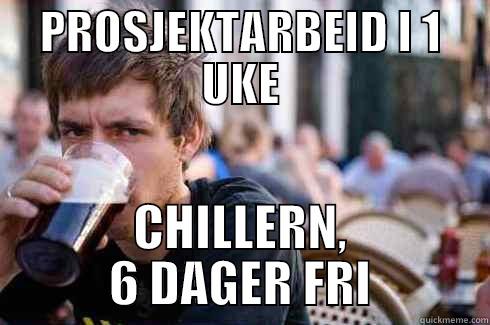 PROSJEKTARBEID I 1 UKE CHILLERN, 6 DAGER FRI Lazy College Senior