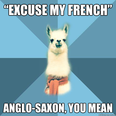 “Excuse my French” Anglo-Saxon, you mean  Linguist Llama